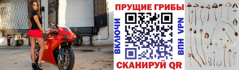 Псилоцибиновые грибы MAGIC MUSHROOMS  Щучье 